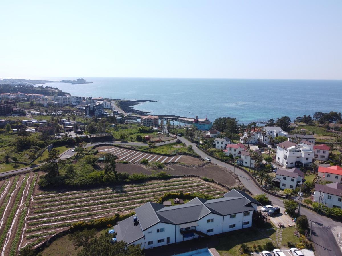 화이트드림 펜션 제주 외부 사진