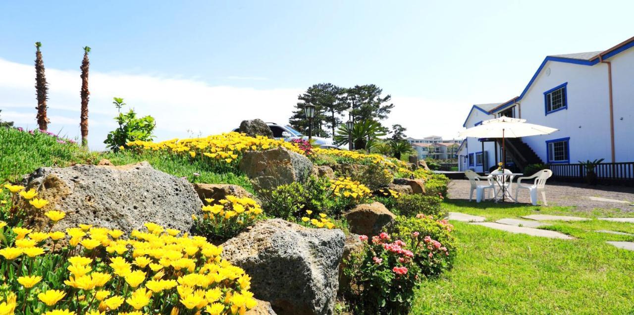 화이트드림 펜션 제주 외부 사진